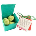 Wildflower Seed Bombs in a Seeded Gift Box (5 per box)